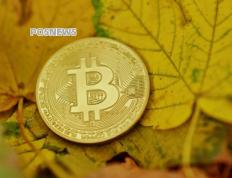 数字人民币的生态体系如何影响国内金融市场