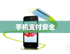 手机支付安全（手机支付安全隐患有哪些）