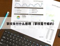 掌纹支付什么原理（掌纹是干嘛的）