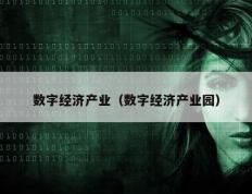 数字经济产业（数字经济产业园）
