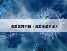 波波支付科技（波波币是什么）