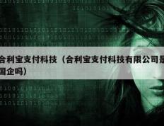 合利宝支付科技（合利宝支付科技有限公司是国企吗）