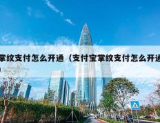 掌纹支付怎么开通（支付宝掌纹支付怎么开通）