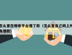 怎么查在哪些平台借了款（怎么查自己网上所有借款）