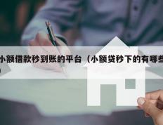 小额借款秒到账的平台（小额贷秒下的有哪些）