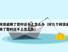 网贷逾期了暂时还不上怎么办（好几个网贷逾期了暂时还不上怎么办）