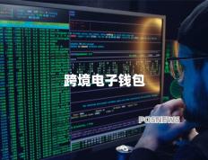 多应用在大湾区互认互通（跨境电子钱包、数字货币、移动支付等应用在大湾区互认互通）