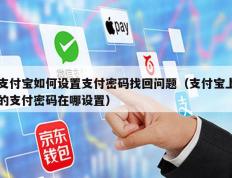 支付宝如何设置支付密码找回问题（支付宝上的支付密码在哪设置）