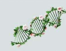 数字人民币研讨会上都讲了些什么（数字人民币研讨会上都讲了些什么呢）