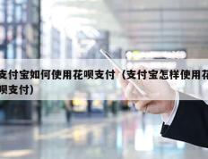 支付宝如何使用花呗支付（支付宝怎样使用花呗支付）