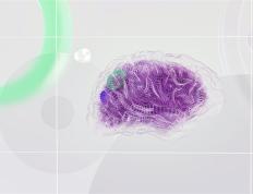 汇丰银行在数字人民币领域持续布局的策略
