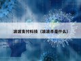 波波支付科技（波波币是什么）