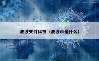 波波支付科技（波波币是什么）