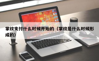 掌纹支付什么时候开始的（掌纹是什么时候形成的）
