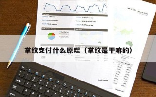 掌纹支付什么原理（掌纹是干嘛的）
