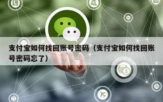 支付宝如何找回账号密码（支付宝如何找回账号密码忘了）