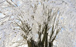 用支付宝付款一次最多可以支付多少金额（支付宝一次可以付多少钱）