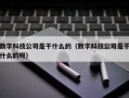 数字科技公司是干什么的（数字科技公司是干什么的呀）