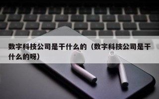 数字科技公司是干什么的（数字科技公司是干什么的呀）