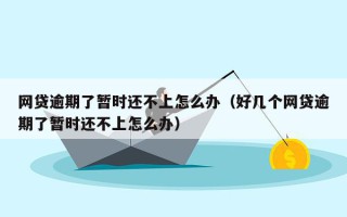 网贷逾期了暂时还不上怎么办（好几个网贷逾期了暂时还不上怎么办）