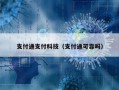 支付通支付科技（支付通可靠吗）