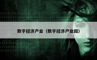数字经济产业（数字经济产业园）