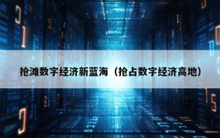 抢滩数字经济新蓝海（抢占数字经济高地）