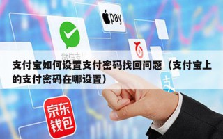 支付宝如何设置支付密码找回问题（支付宝上的支付密码在哪设置）
