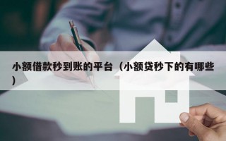 小额借款秒到账的平台（小额贷秒下的有哪些）