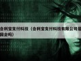 合利宝支付科技（合利宝支付科技有限公司是国企吗）