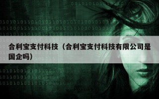 合利宝支付科技（合利宝支付科技有限公司是国企吗）