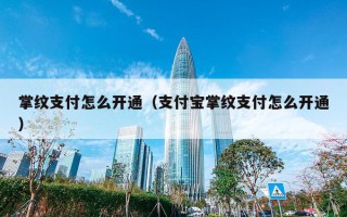 掌纹支付怎么开通（支付宝掌纹支付怎么开通）