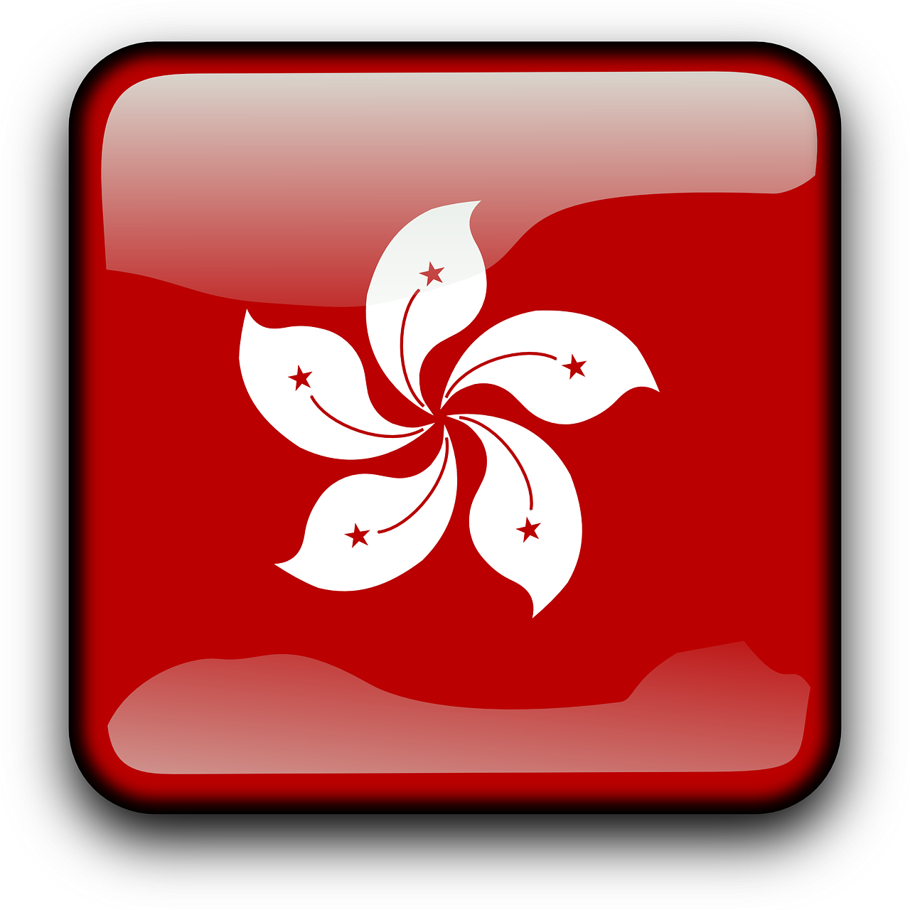 刷信用卡app软件哪个好用（笑付通无卡支付可靠吗）