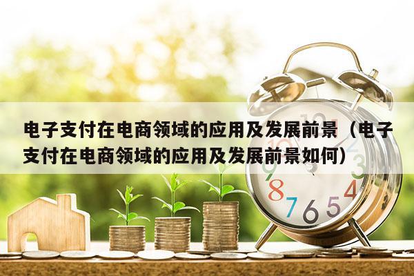 电子支付在电商领域的应用及发展前景（电子支付在电商领域的应用及发展前景如何）