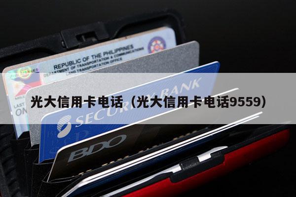 光大信用卡电话（光大信用卡电话9559）