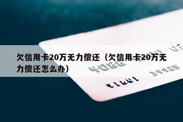 欠信用卡20万无力偿还（欠信用卡20万无力偿还怎么办）
