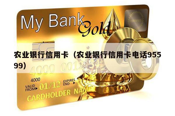 农业银行信用卡（农业银行信用卡电话95599）