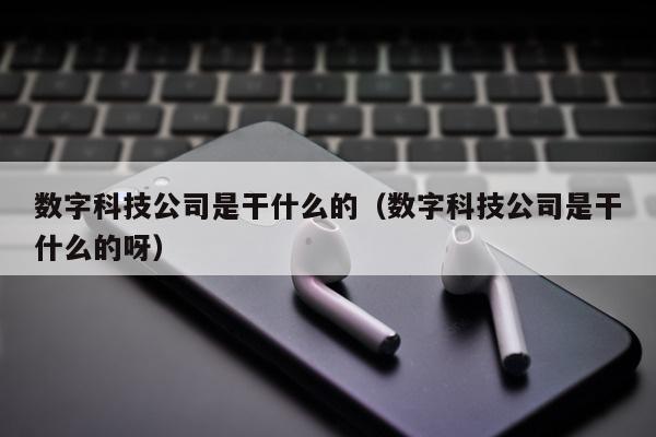 数字科技公司是干什么的（数字科技公司是干什么的呀）