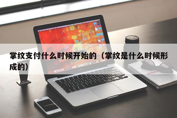 掌纹支付什么时候开始的（掌纹是什么时候形成的）