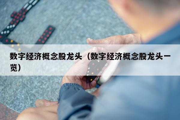 数字经济概念股龙头（数字经济概念股龙头一览）