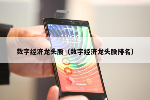 数字经济龙头股（数字经济龙头股排名）