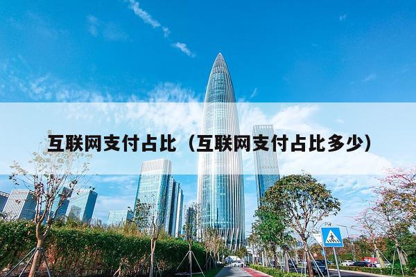 互联网支付占比（互联网支付占比多少）