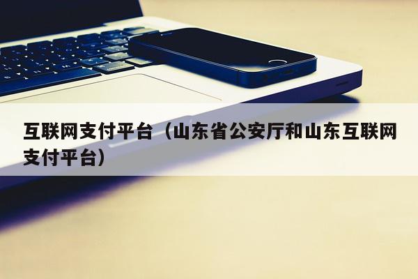 互联网支付平台（山东省公安厅和山东互联网支付平台）