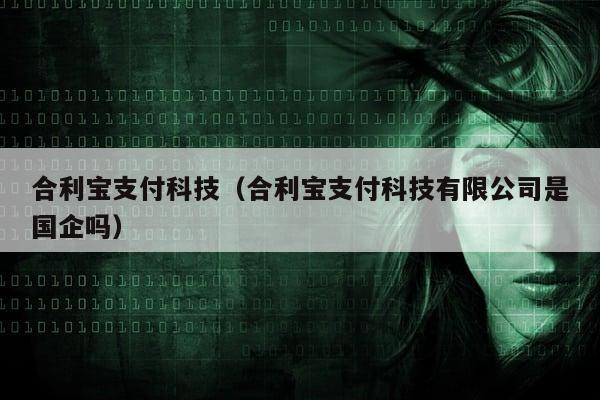 合利宝支付科技（合利宝支付科技有限公司是国企吗）