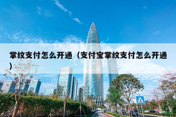 掌纹支付怎么开通（支付宝掌纹支付怎么开通）