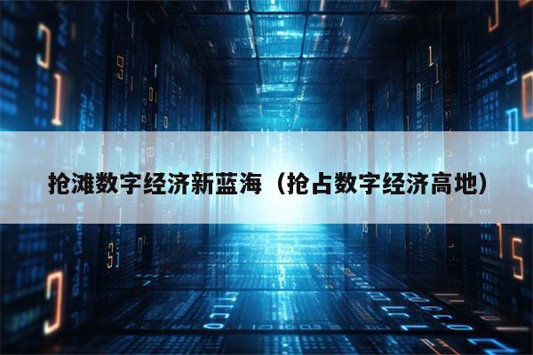 抢滩数字经济新蓝海（抢占数字经济高地）