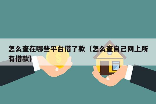 怎么查在哪些平台借了款（怎么查自己网上所有借款）
