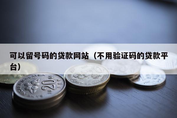 可以留号码的贷款网站（不用验证码的贷款平台）-第1张图片-POS资讯网