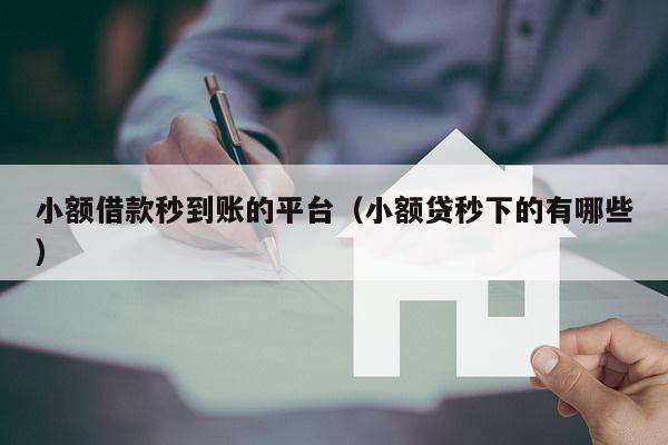 小额借款秒到账的平台（小额贷秒下的有哪些）