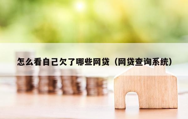 怎么看自己欠了哪些网贷（网贷查询系统）